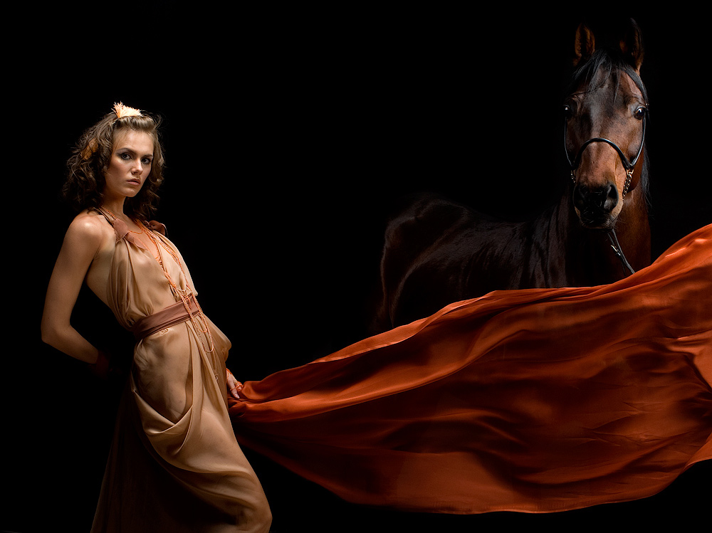 Реклама лошадок. Реклама с лошадью. Лошадь в студии. О лошадке реклама. Студийное фото лошади.